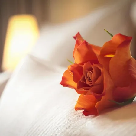 Hotel Dorint Strandhotel Binz/rügen 4*